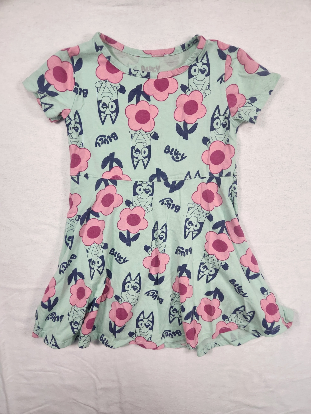 Bluey Floral Mint & Pink Girls' Dress 5T